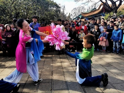 通海縣第十八屆迎春花街 繁花獻(xiàn)瑞，禮品花卉銷(xiāo)售成亮點(diǎn)